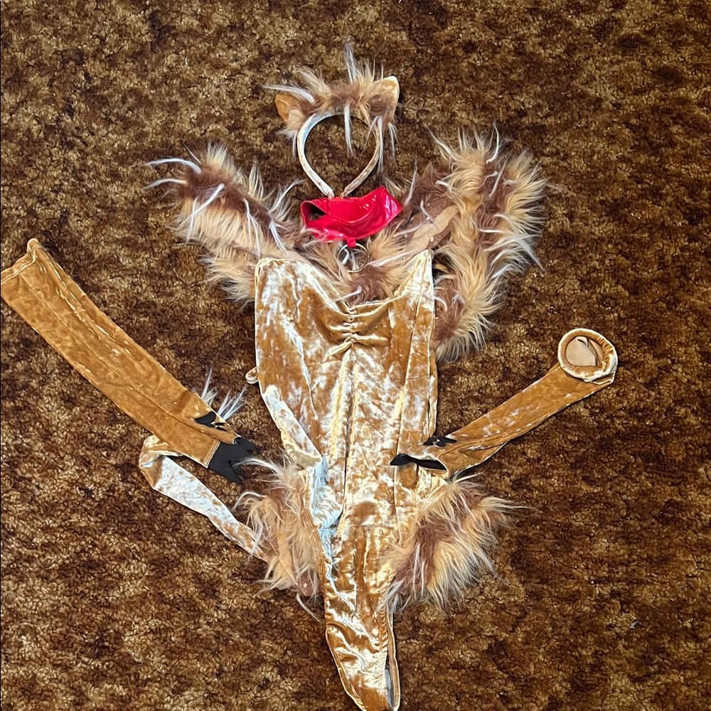 Women's Velvet Faux-Fur Sexy Lioness Costume